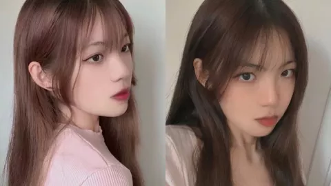 博洛尼亚大学