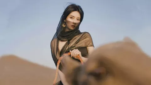 12306回应