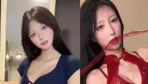 芝士小宝