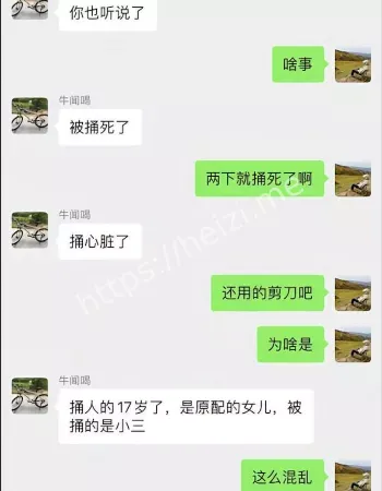 辽宁17岁女儿