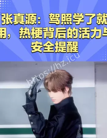 张真源驾照