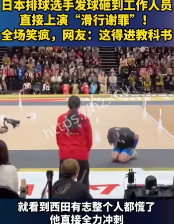 上演滑行谢罪