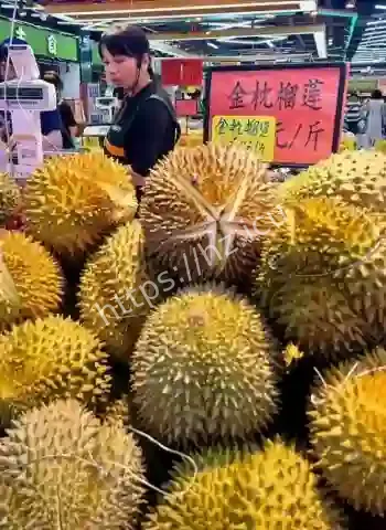 榴莲自由只是开始